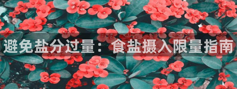 威九国际电子有限公司