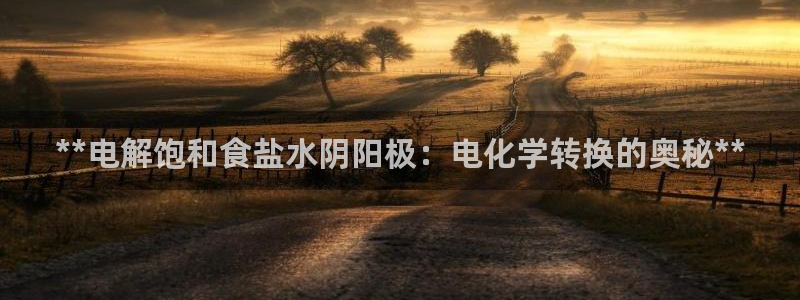 威九国际78mb特点