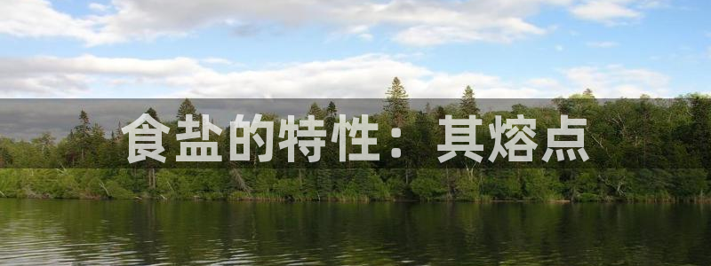 威九国际top