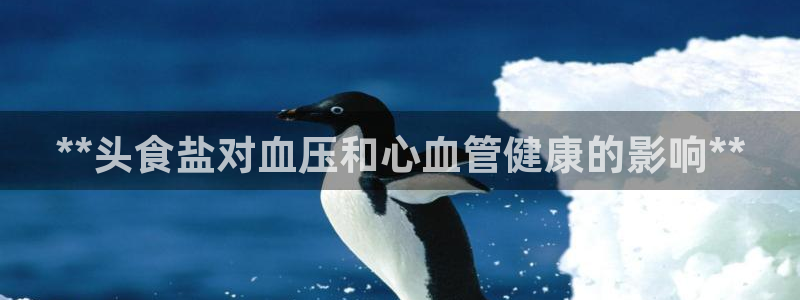 威九国际66m