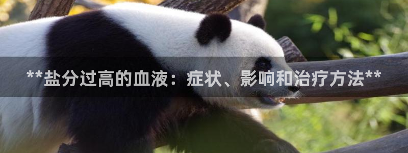 威九国际国精彩片段