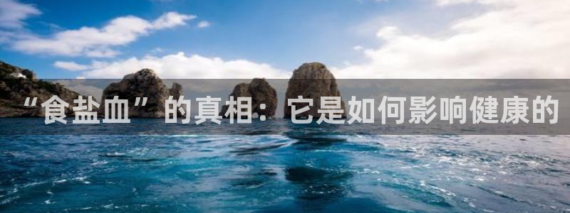 威九国际软件