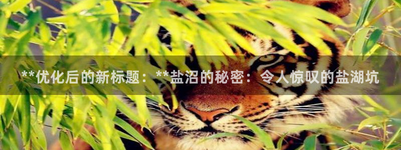 威九国际电视