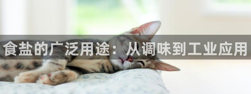 威九国际女主名字
