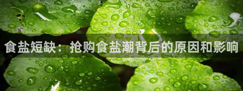威九国际78app