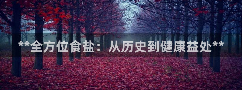 78.m威九国际官网版