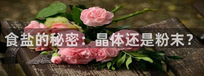 威九国际APP客服