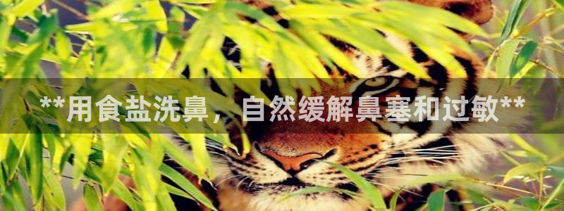威九国际集团66m一6在线