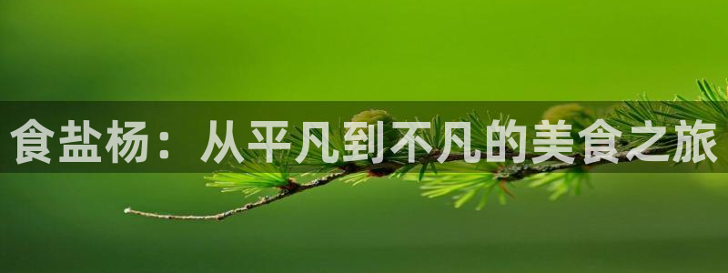 威九国际国精彩片段