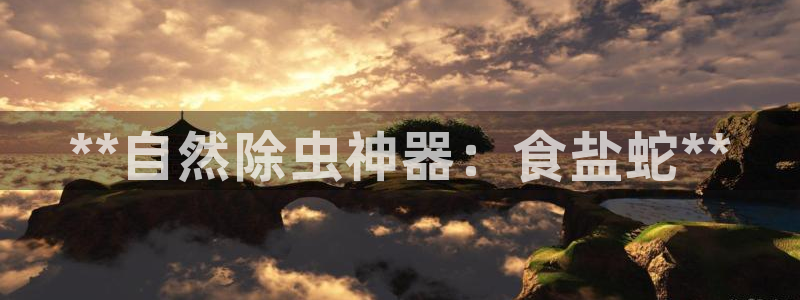威九国际游戏入口