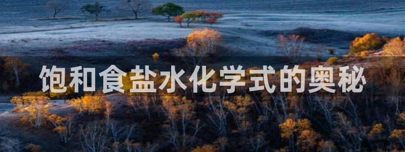 威九国际全国空降