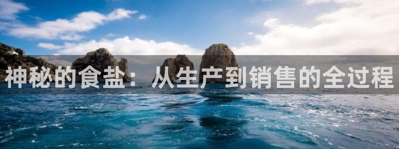 威九国际ppt免费下载网址