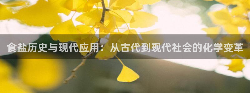 威九国际女星