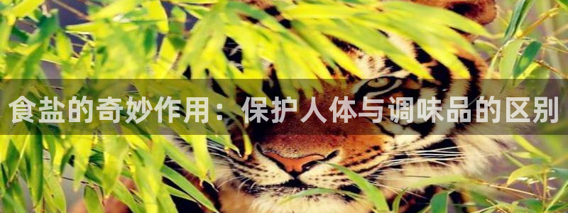 威九国际空降视频