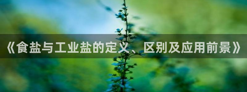 威九国际网站进入公司不断创新