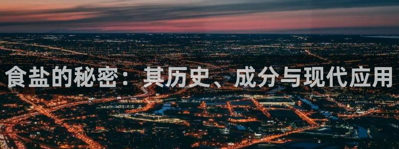 威九国际软件