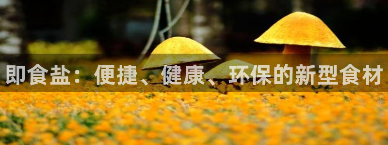 威九国际下载