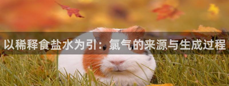 威九国际78m小说