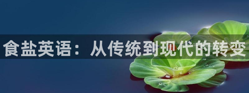 威九国际app客服电话：食盐英语：从传统到现代的转变