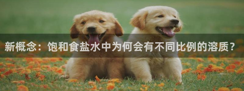 威九国际地址