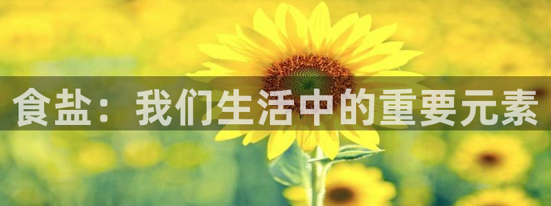 威九国际app无法登陆怎么回事
