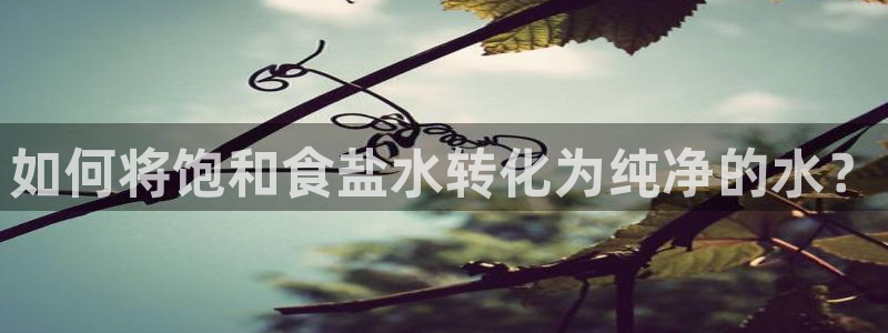 保定威九网络科技有限公司电话