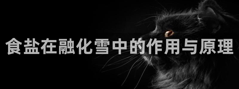 78mapp威九国际网页版