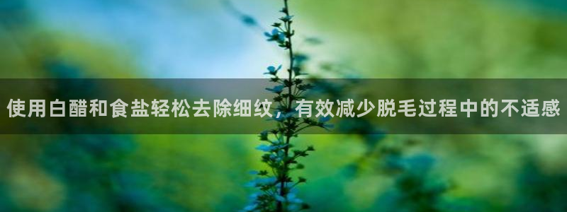 威九国际78mb特点