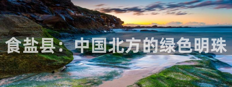 66m威九国际成长模式